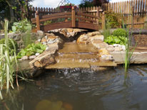 Ponds and water features